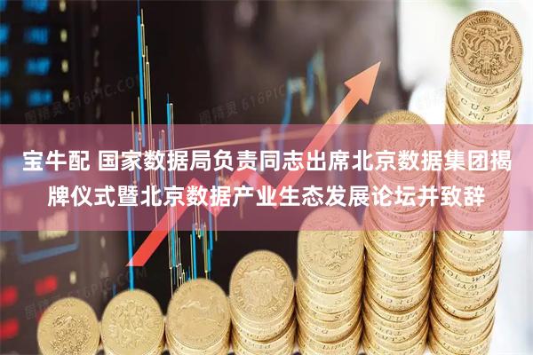 宝牛配 国家数据局负责同志出席北京数据集团揭牌仪式暨北京数据产业生态发展论坛并致辞