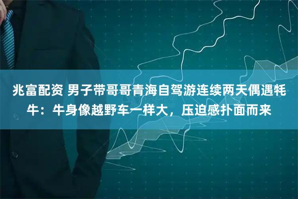 兆富配资 男子带哥哥青海自驾游连续两天偶遇牦牛：牛身像越野车一样大，压迫感扑面而来