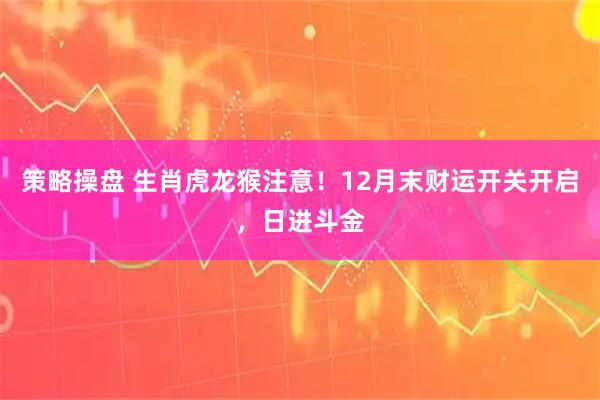 策略操盘 生肖虎龙猴注意！12月末财运开关开启，日进斗金