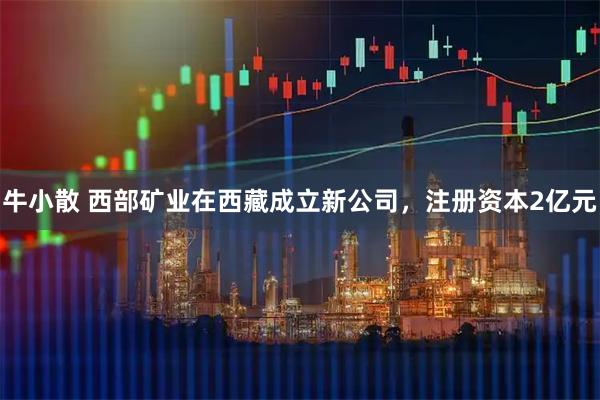 牛小散 西部矿业在西藏成立新公司，注册资本2亿元