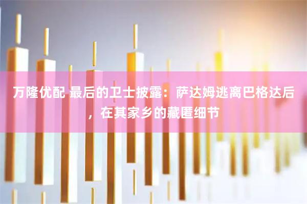 万隆优配 最后的卫士披露：萨达姆逃离巴格达后，在其家乡的藏匿细节