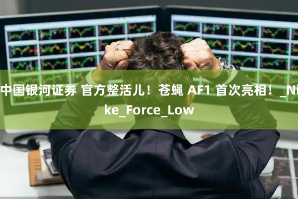 中国银河证券 官方整活儿！苍蝇 AF1 首次亮相！_Nike_Force_Low